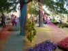 Girona flower festival